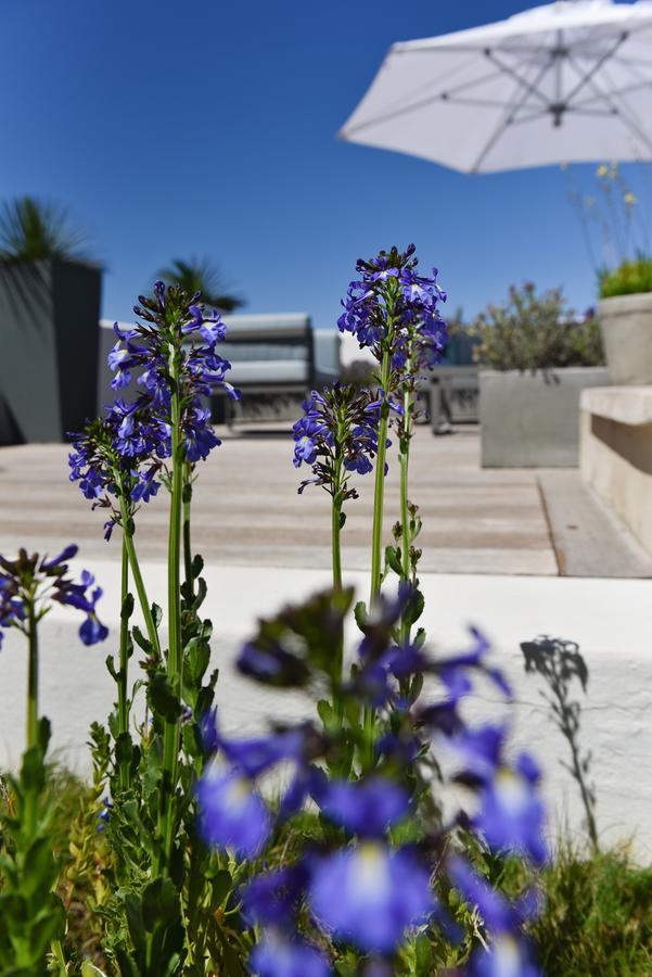 Vilacqua Boutique Guest Villa Plettenberg Bay Dış mekan fotoğraf