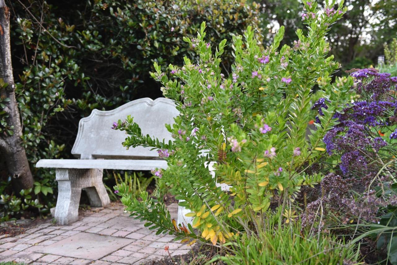 Vilacqua Boutique Guest Villa Plettenberg Bay Dış mekan fotoğraf