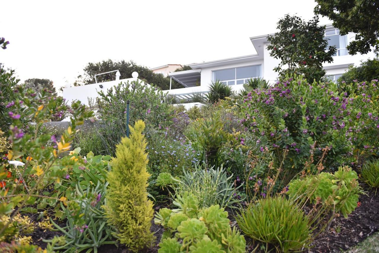 Vilacqua Boutique Guest Villa Plettenberg Bay Dış mekan fotoğraf
